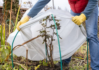 Top 10 Tips to Prepare Your Garden for Winter