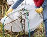 Top 10 Tips to Prepare Your Garden for Winter