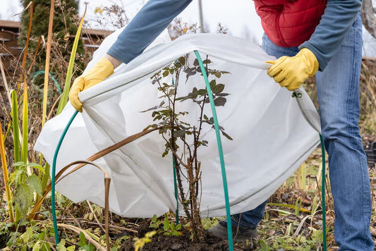 Top 10 Tips to Prepare Your Garden for Winter