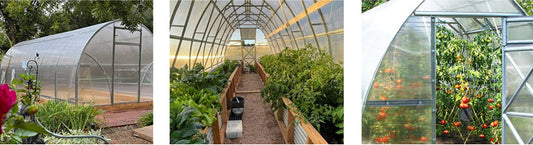 10 Best Greenhouses for Sale in Canada and the USA [2025 Edition]