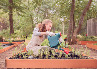 5 Things You Should Always Do When Bringing Houseplants Back Indoors After Summer